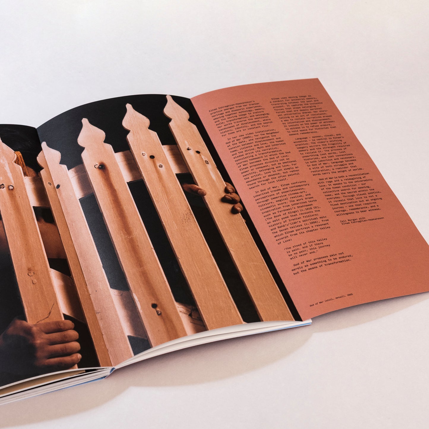 The Neighbour at the Gate Publication