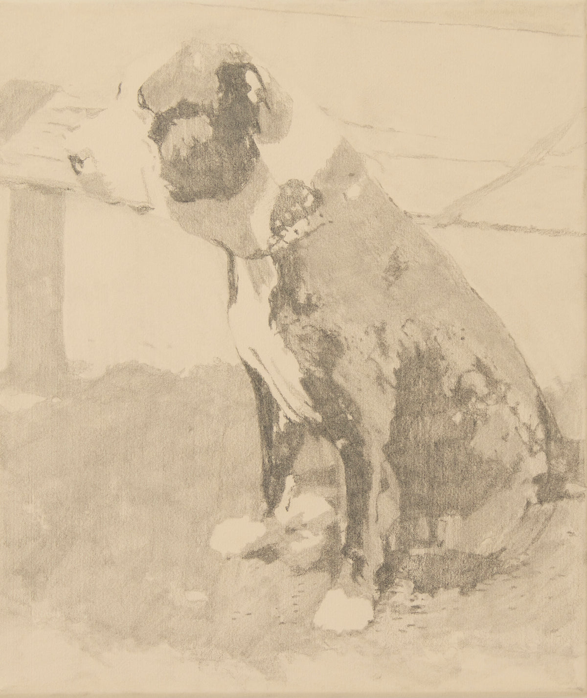 Dog waiting in lieu by Bethany Shanahan