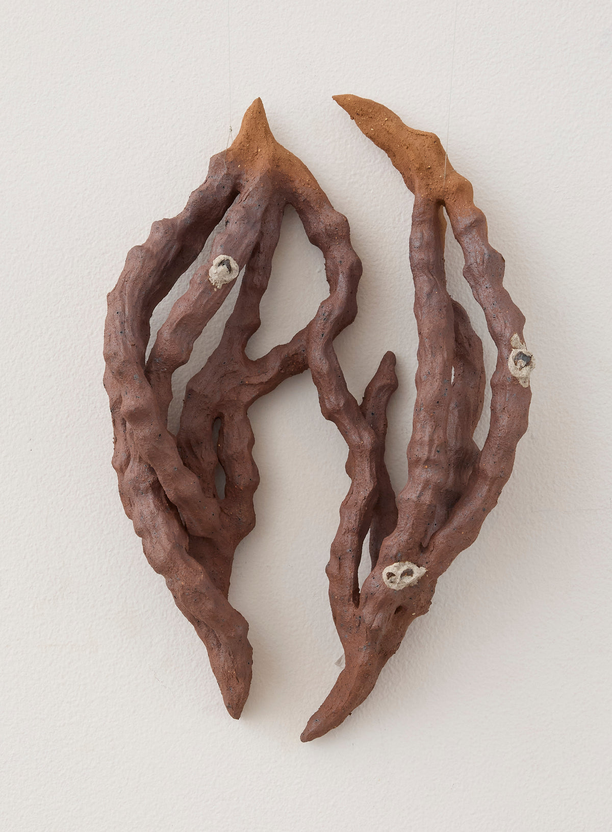 Knots: Material Studies (Lungs/Heart) by Bianca Seeto
