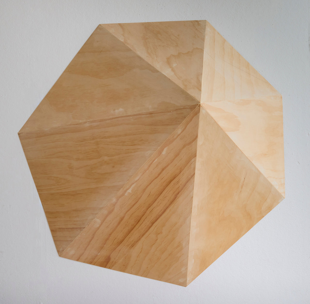 Volume II (Shell) by Ella Davison