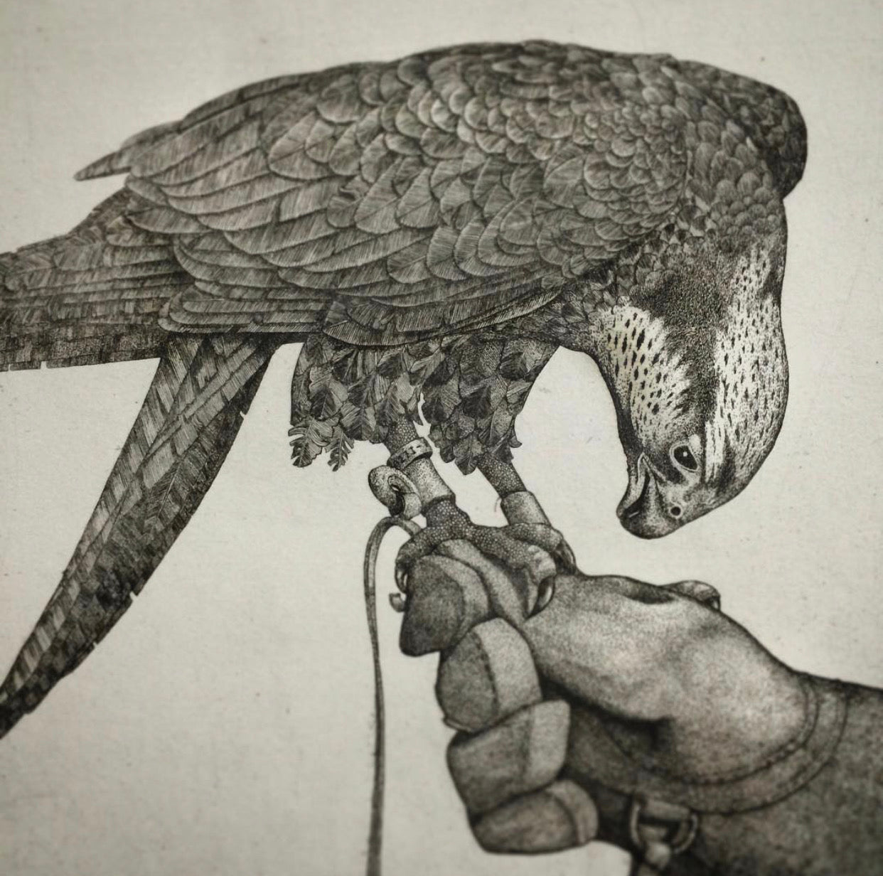 Print from Copper: Learn Etching in 5 Days