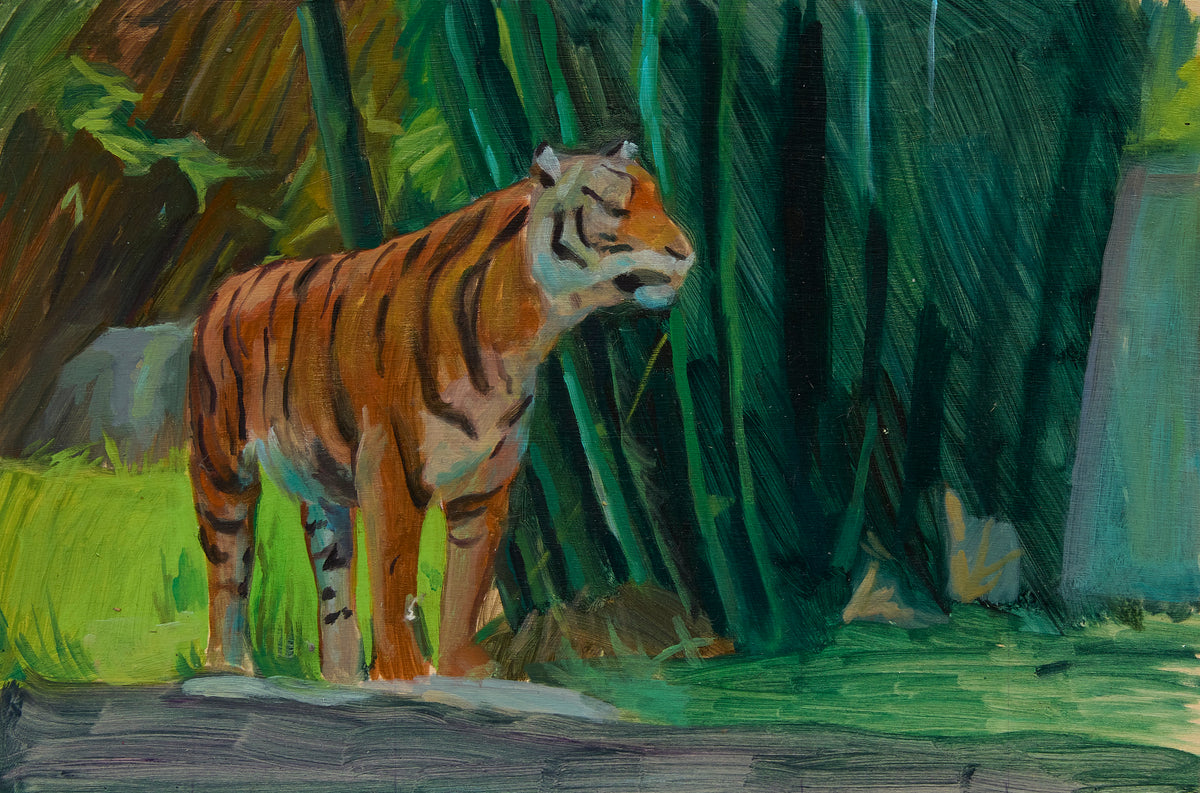 Tiger in the Jungle by Jon Potter