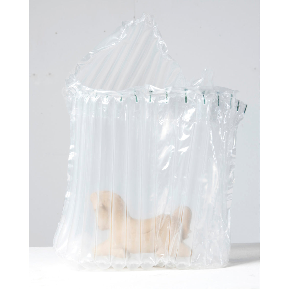 Horse in Bag