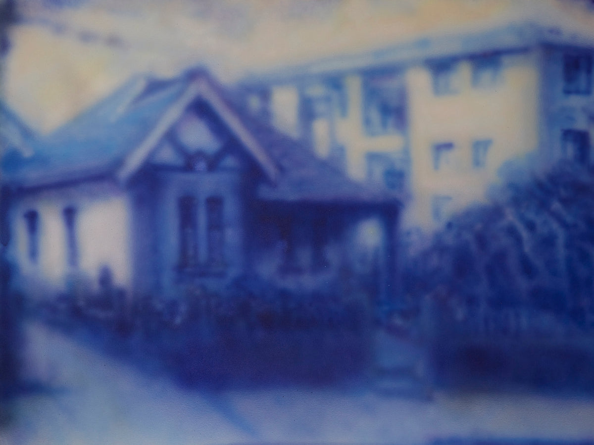 Marrickville, residential landscape by NG Malla