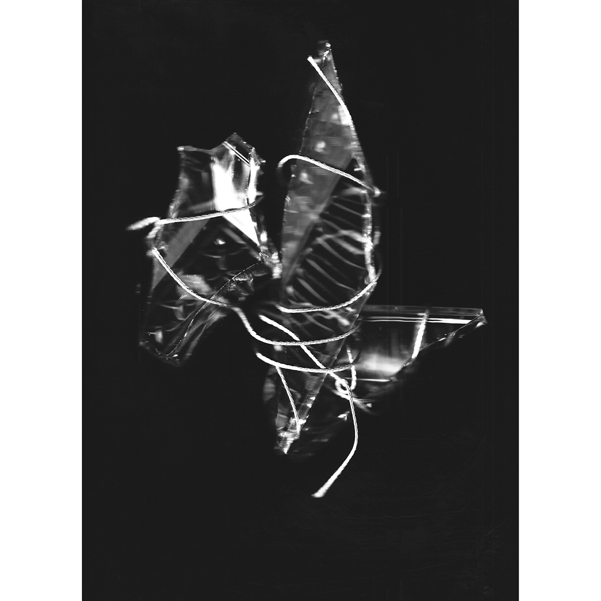 Remnants #8