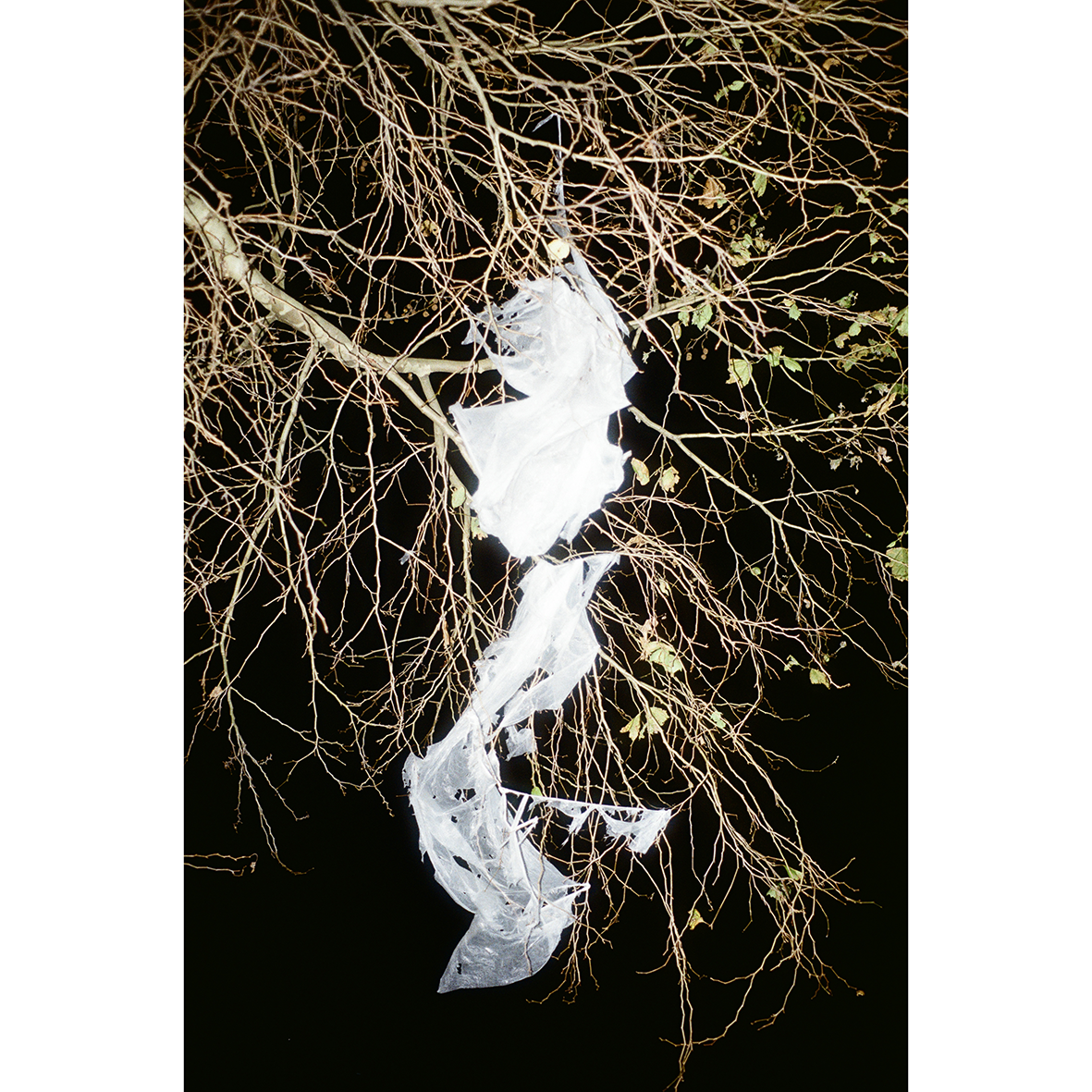 Untitled (Self Portrait, Leachate)