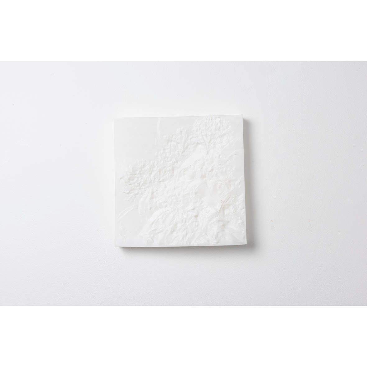 Void (Series, Untitled 1 through to 7)