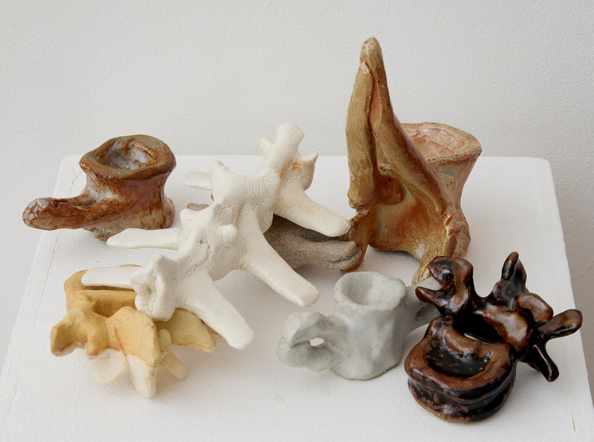 Bone Series