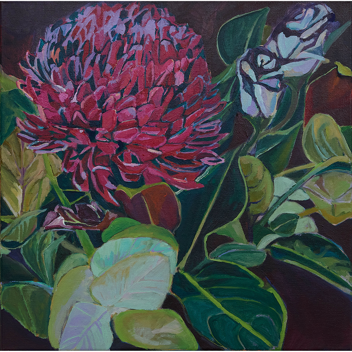 Chrysanthemum - Condolences