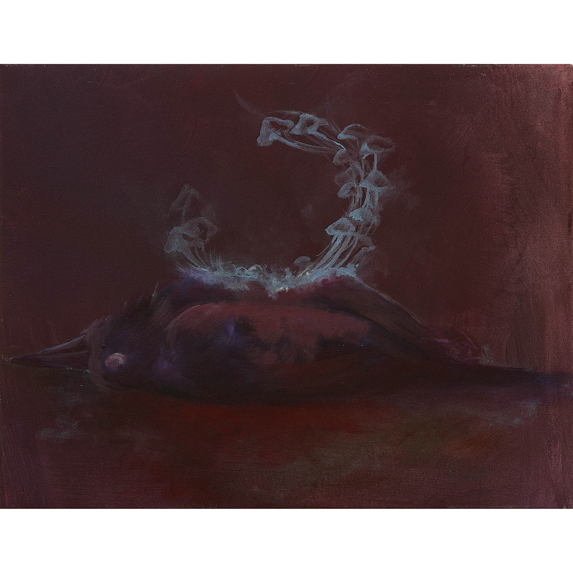 Taphonomy
