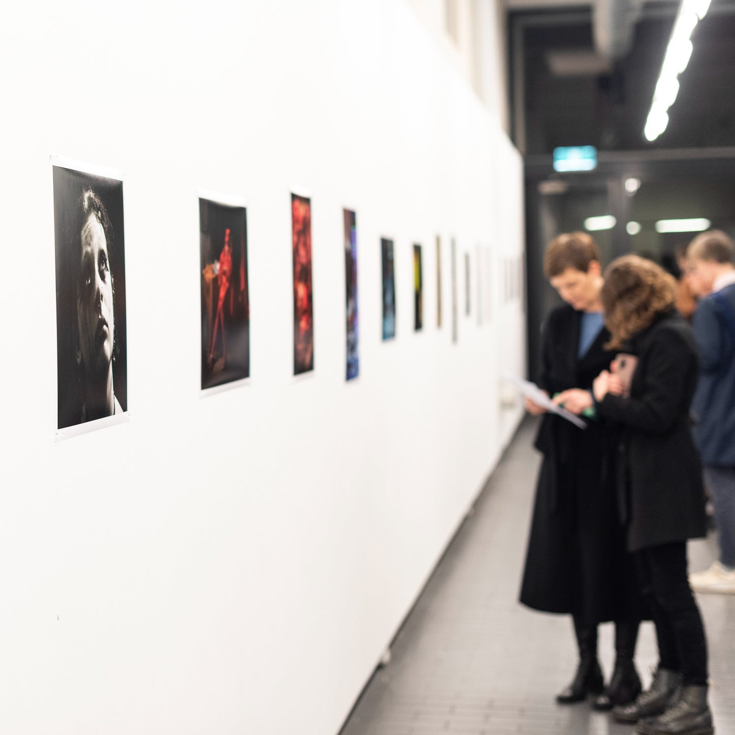 Introduction to the Australian Art World