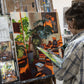 Contemporary Painting: Interior to Exterior Landscapes