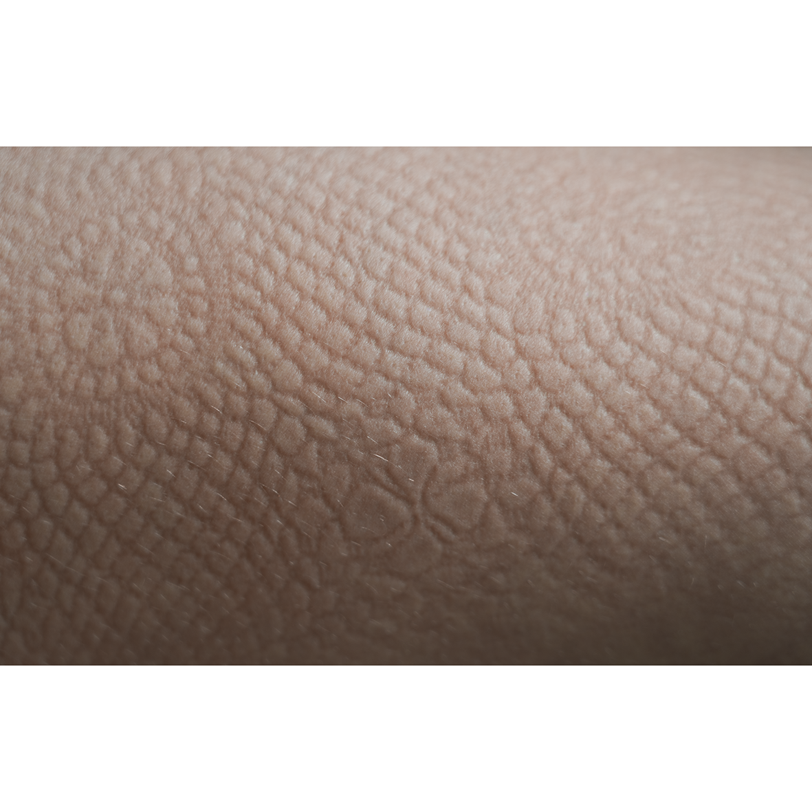 Anemoia