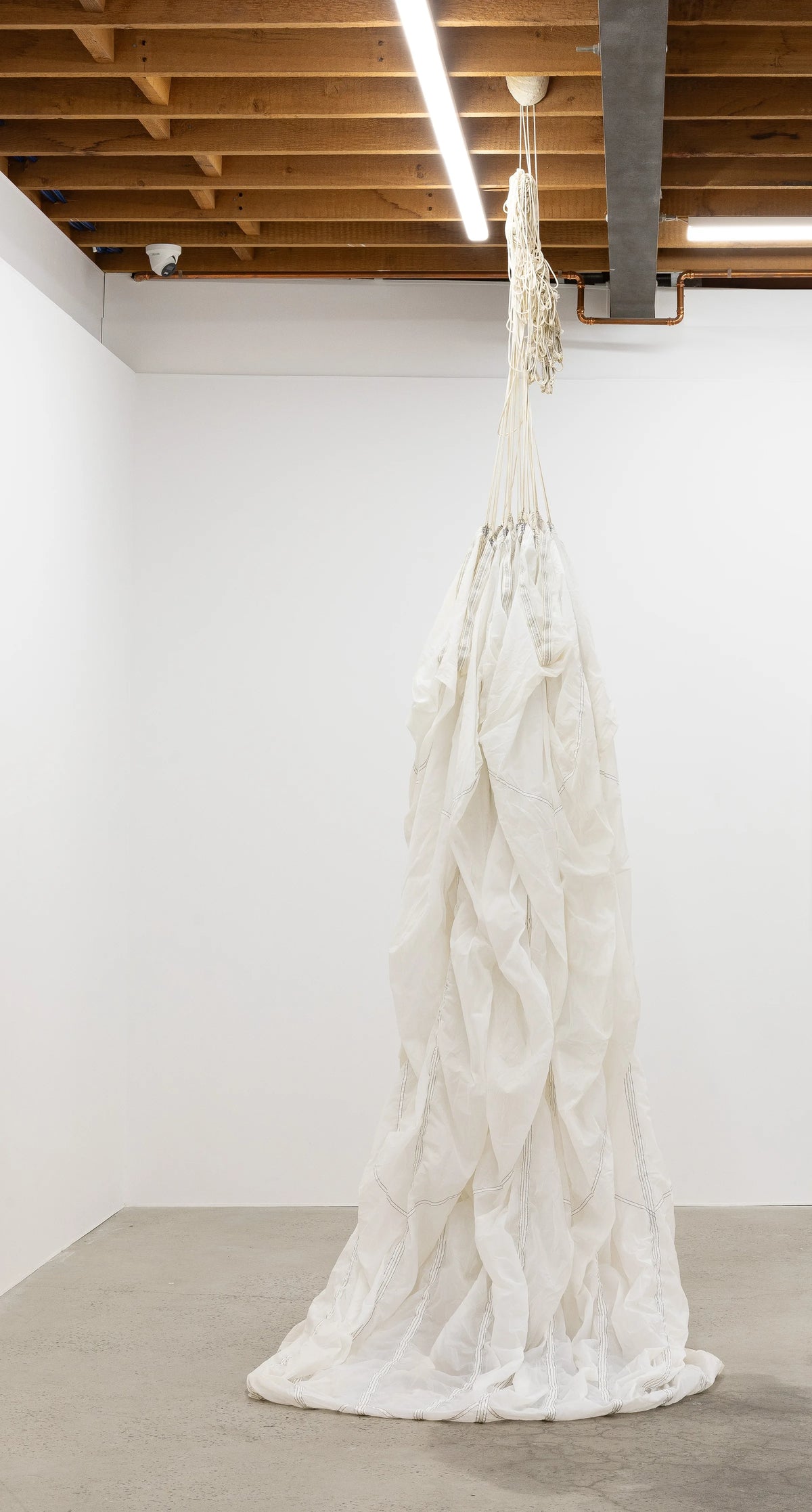 Clasp by Anthea Duffy