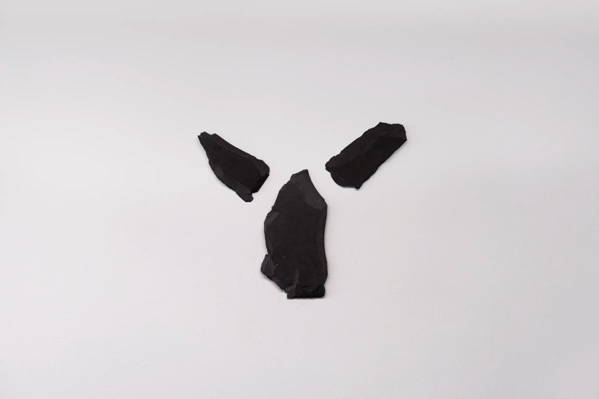 Nike by Anthea Duffy