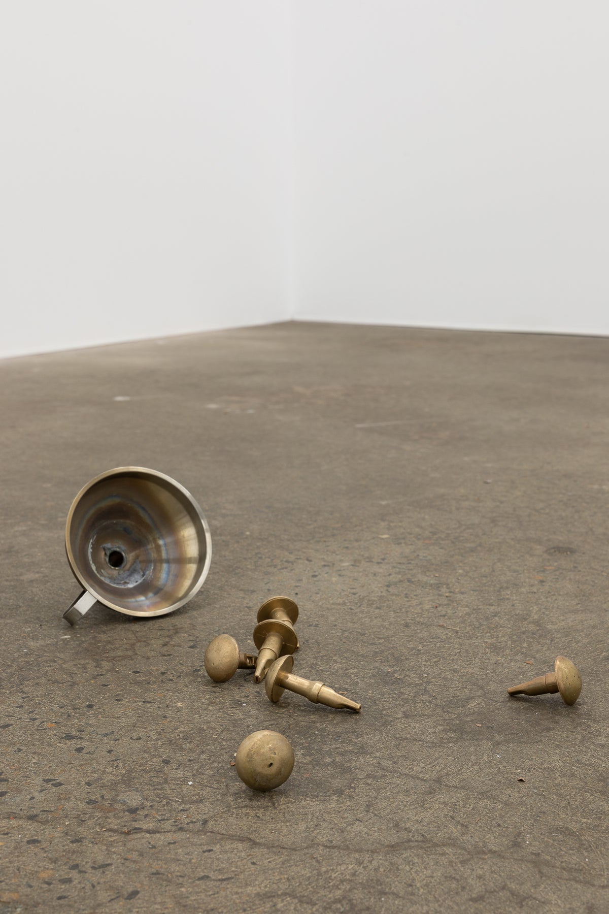 Voice by Anthea Duffy