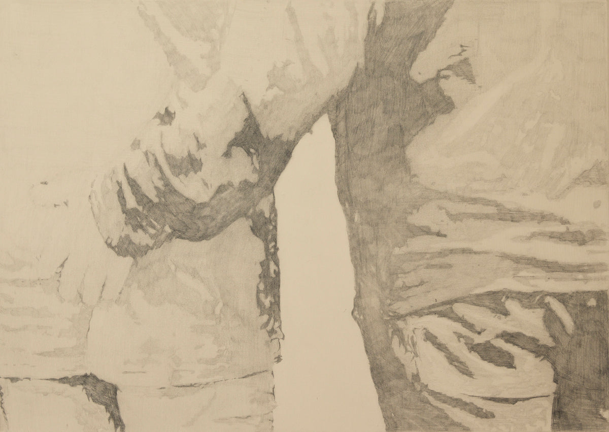 Still got it by Bethany Shanahan