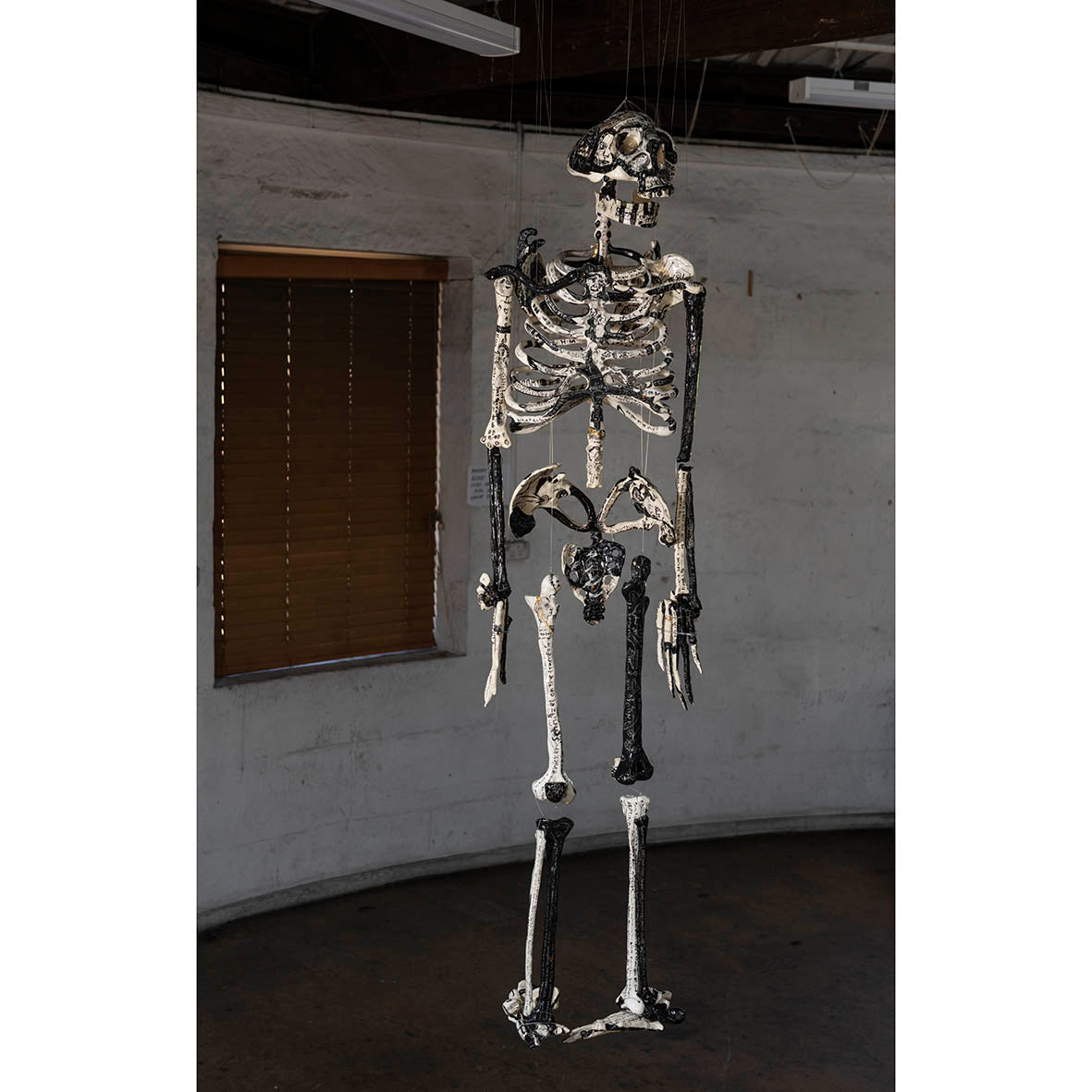 Omi McCurdie | Drawing | Bones and Memories