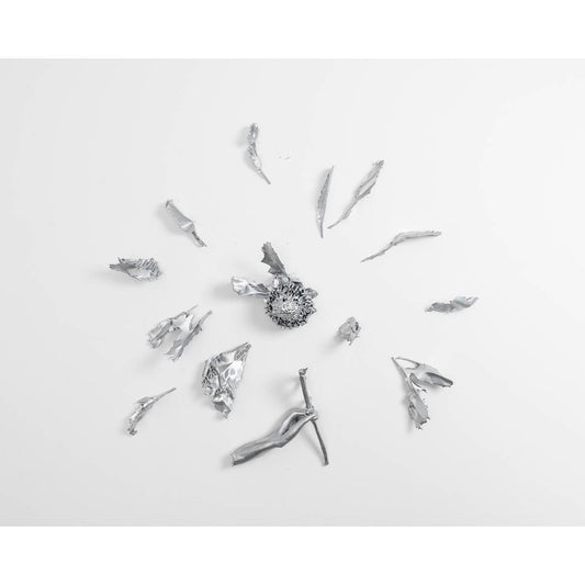 Haylie-Jayde Atkins | Printmaking | Replica (Chromed Phantoms)