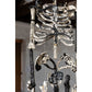 Bones and Memories