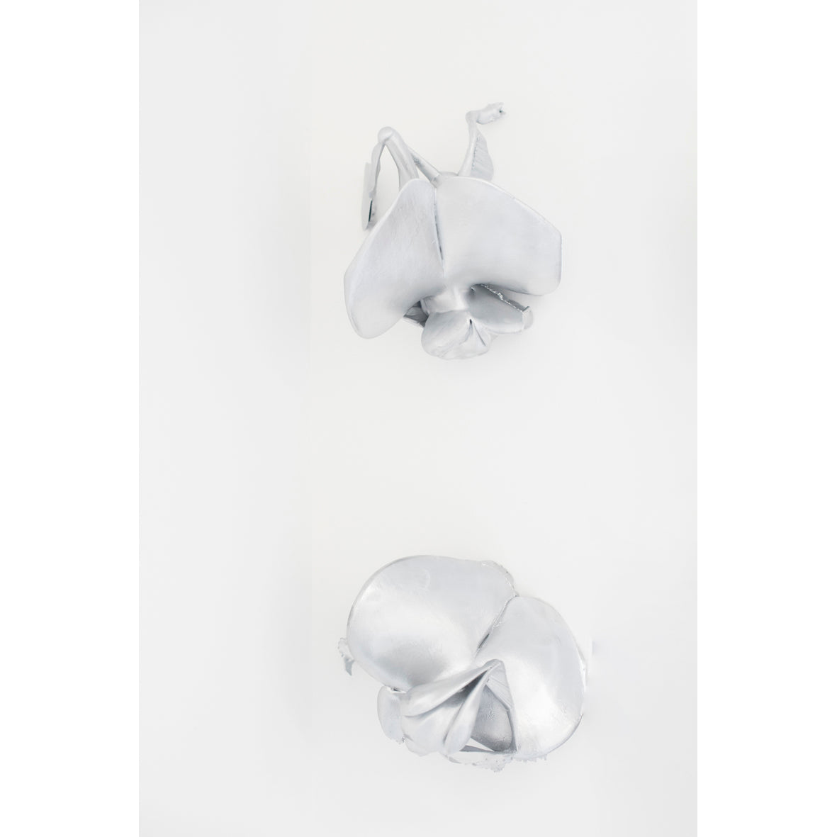 Echo (Chromed Phantoms)