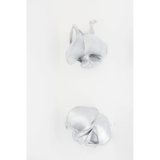Echo (Chromed Phantoms)