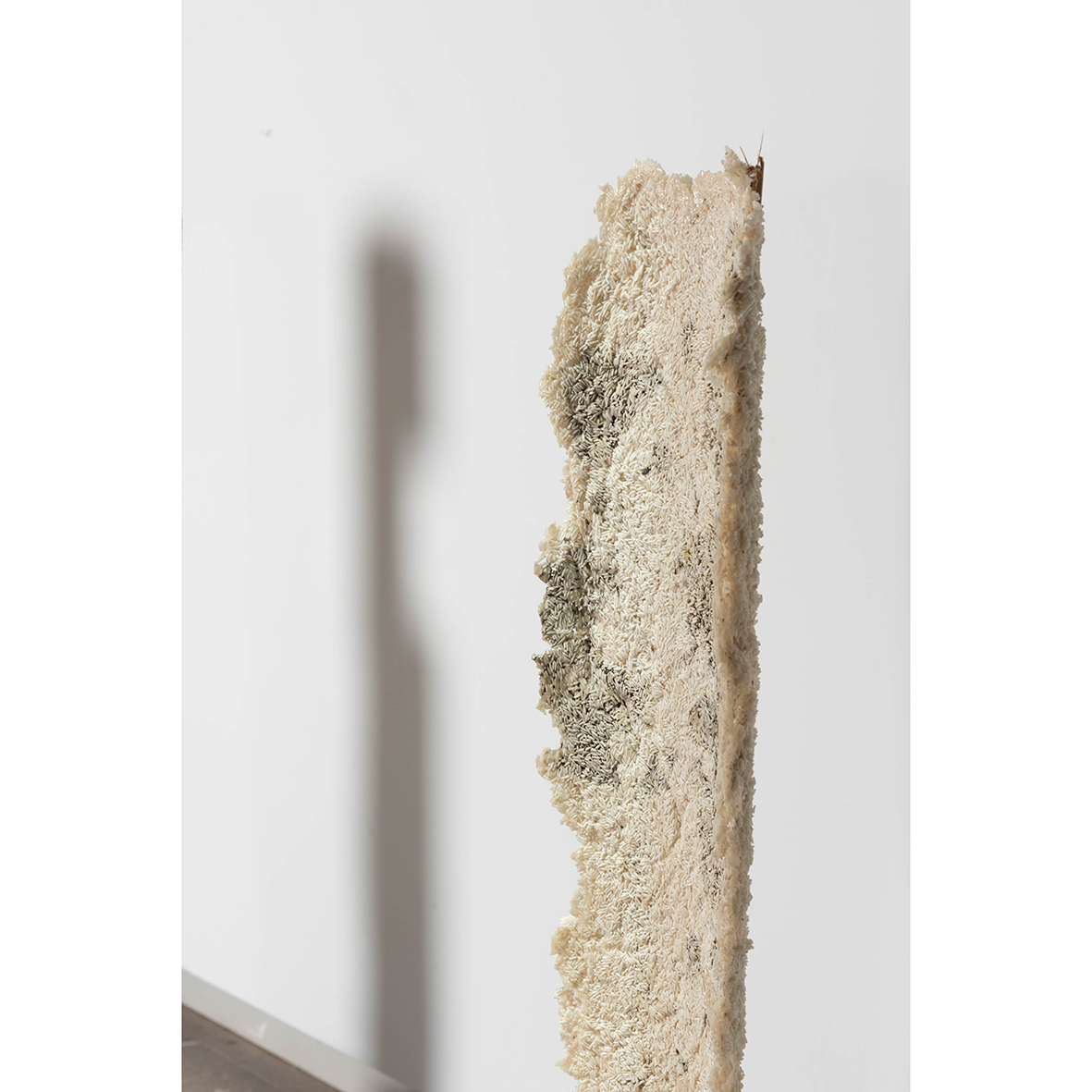 Rice Wall