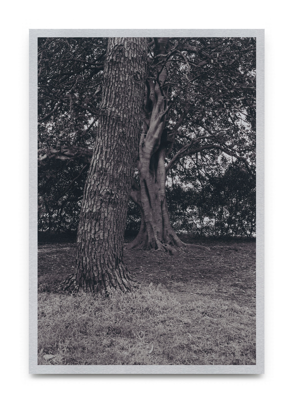 Awake by Harri Barnes