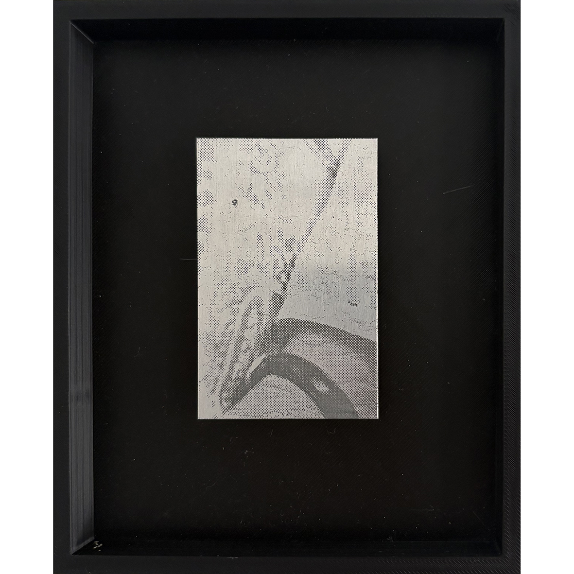 Fragment II
