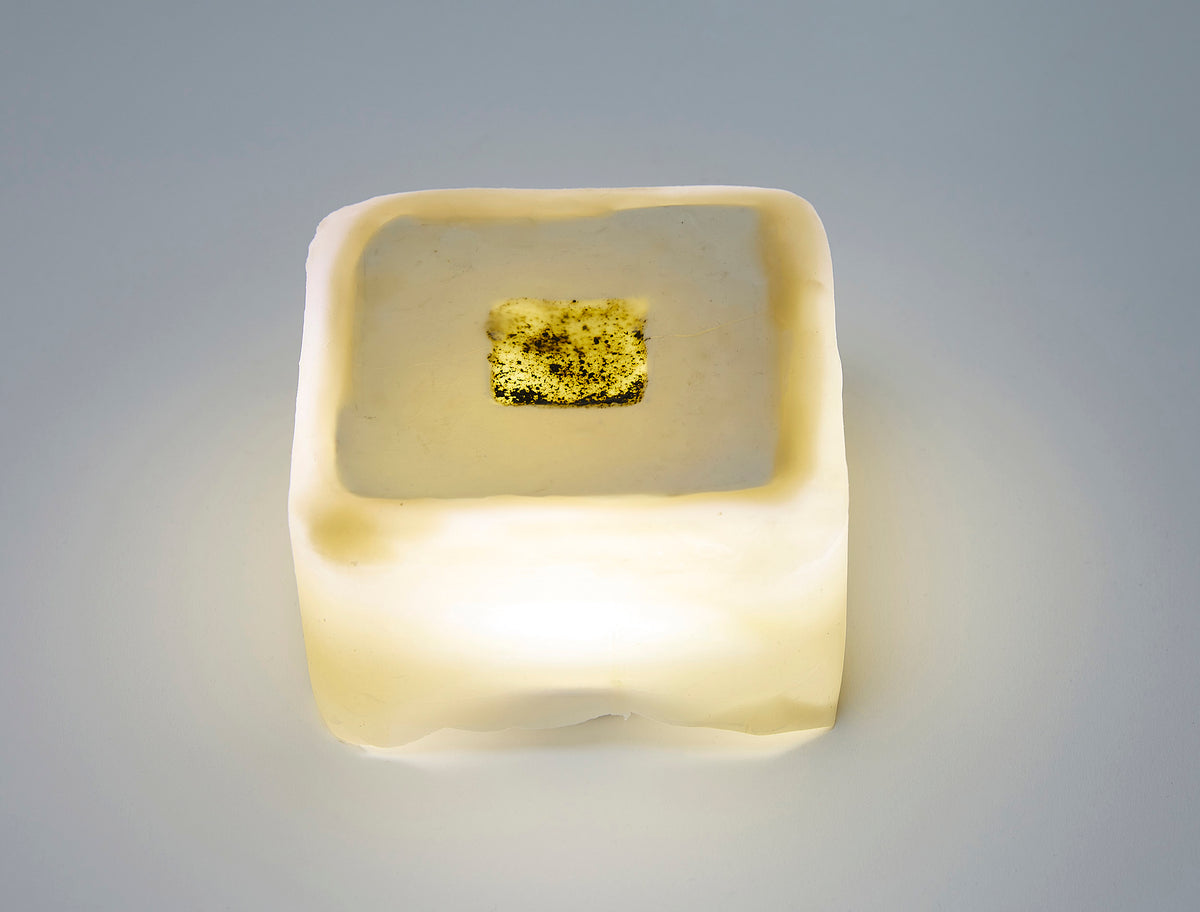 Light box by Isabelle Lee