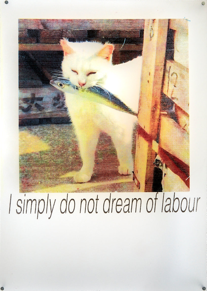 I simply do not dream of labour by Lola Jane