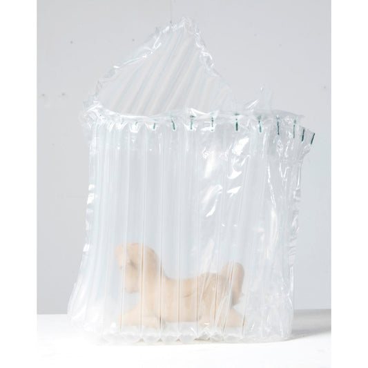 Horse in Bag