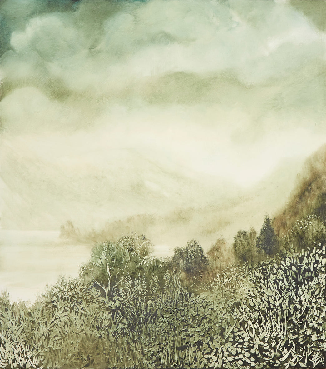 Among the Standing Trees - Snodonia, Wales, UK by Mohamed Khadra
