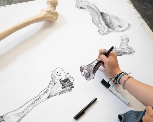 Art Club Term 2 2026 - Drawing