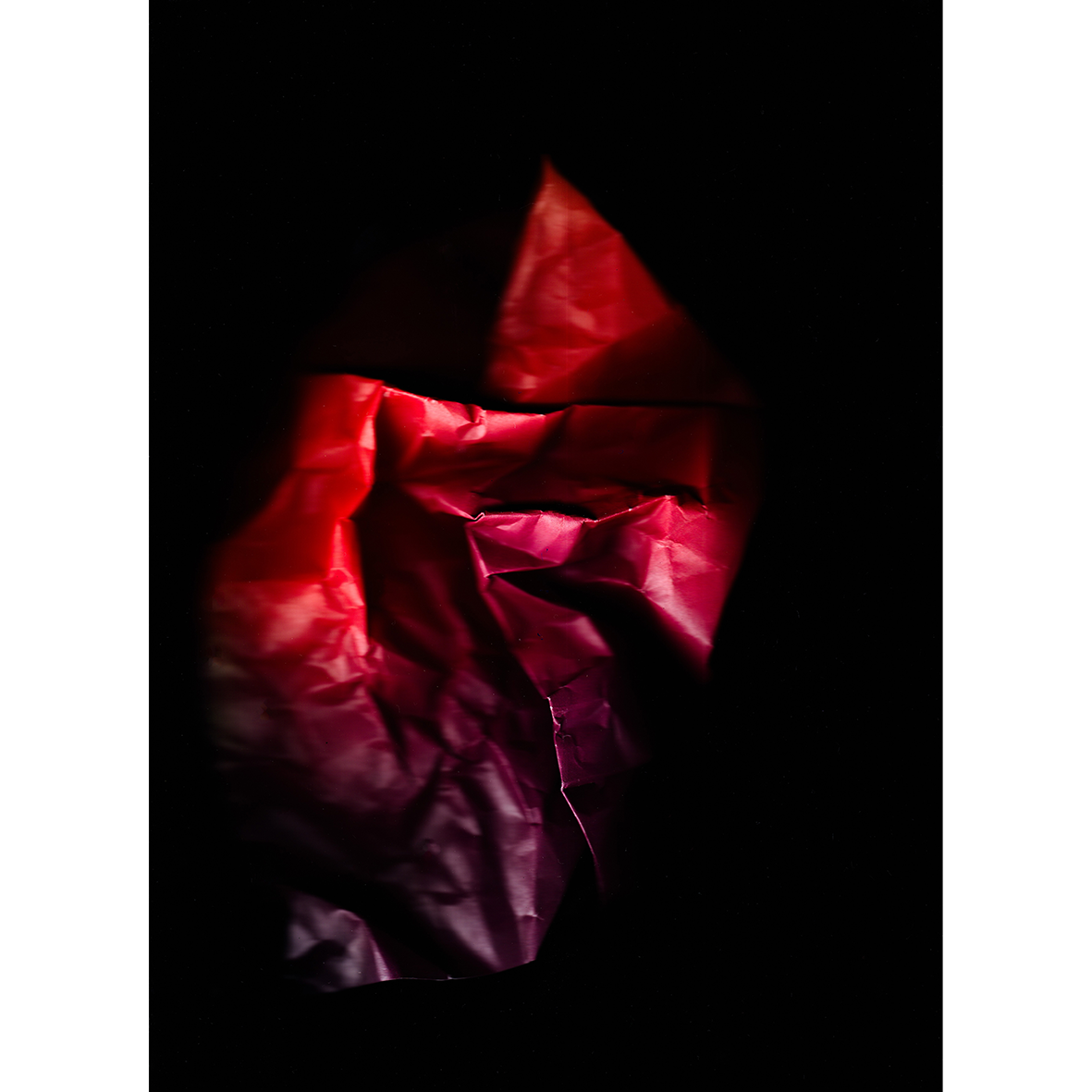 Remnants #6