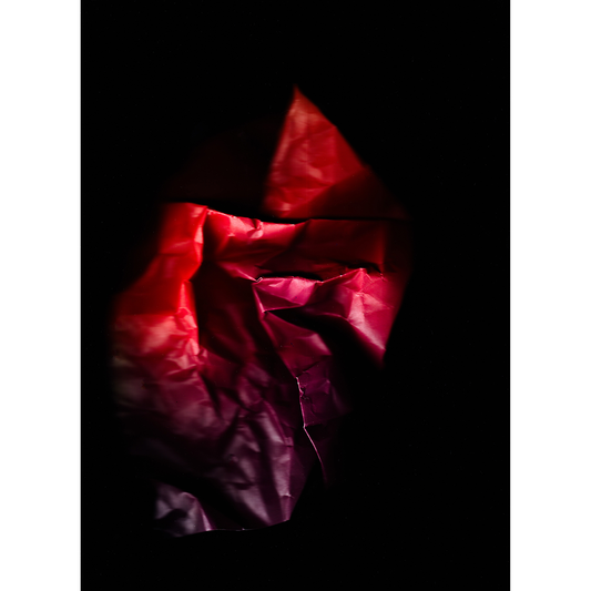 Remnants #6