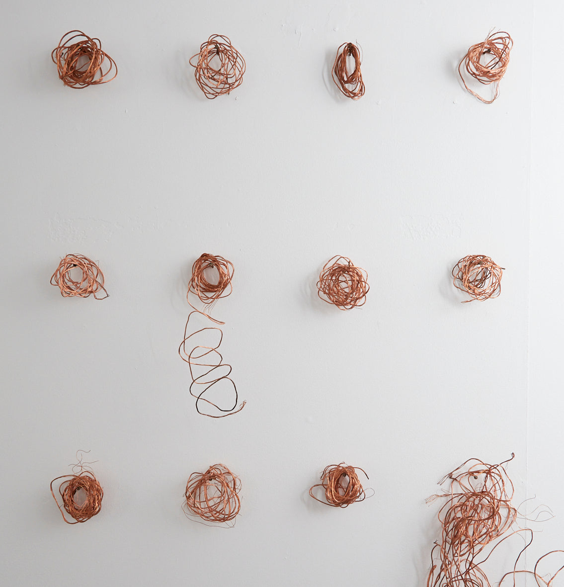 filaments I-XII by Rose Rigley