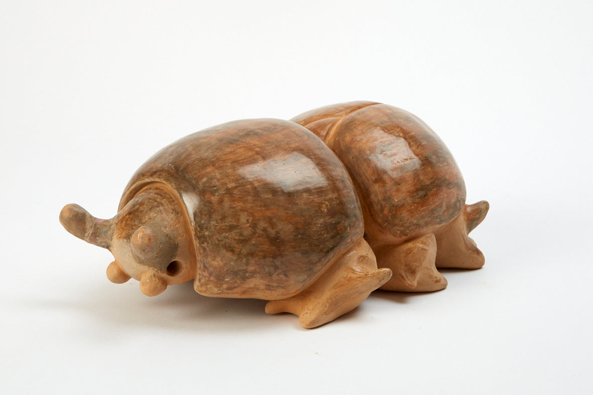 Ambuguous - Buddy by Sophie Sheppard