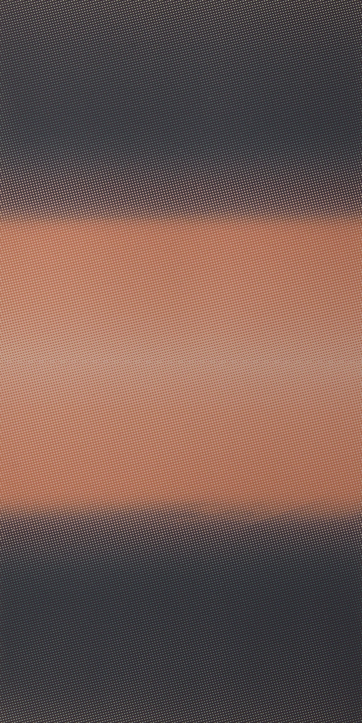 Diffraction by Tallulah Stein