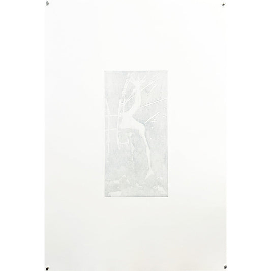 Medea 3