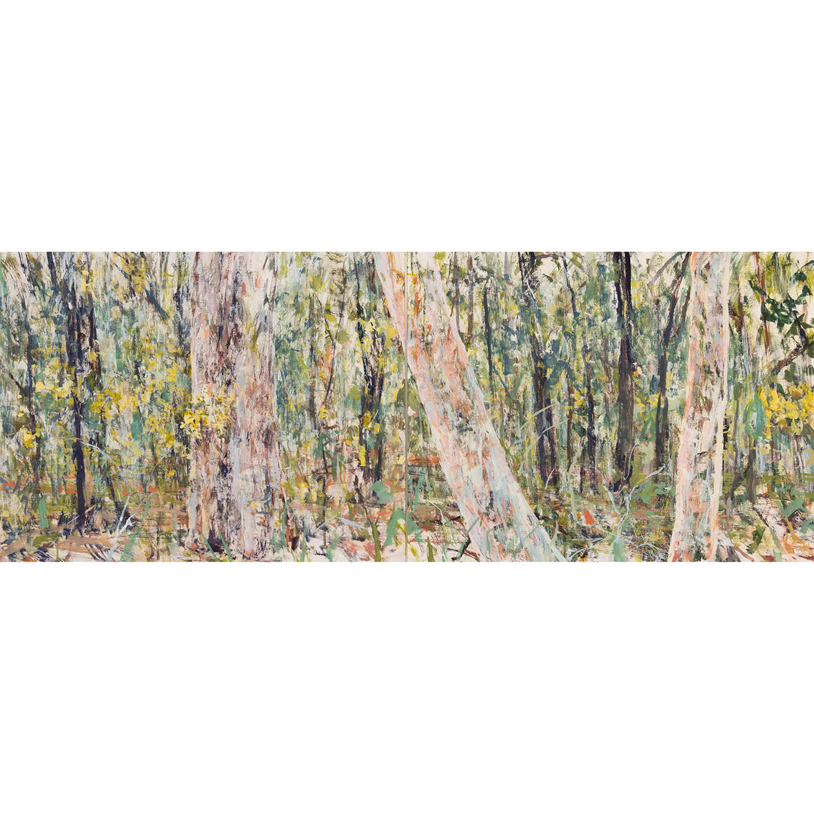 Elena Larkin | Drawing | Hold everything dear (Ku-ring-gai Chase, Durramurragal land)