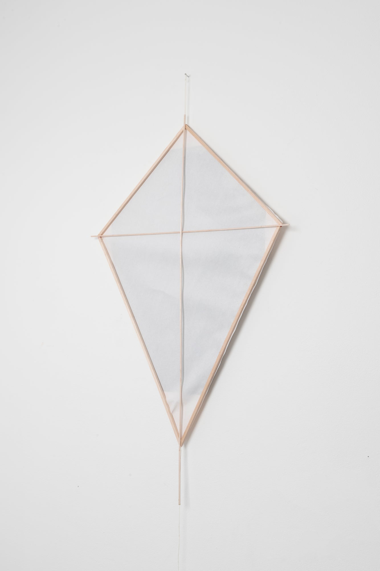 Buster Allanson | Printmaking | Kites
