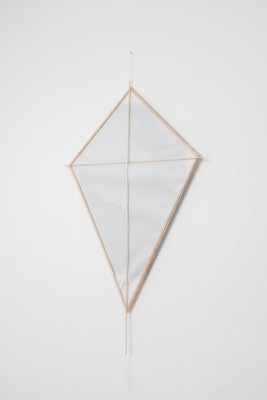 Buster Allanson | Printmaking | Kites