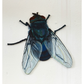 Spoilt For Choice (Flies)