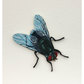 Spoilt For Choice (Flies)