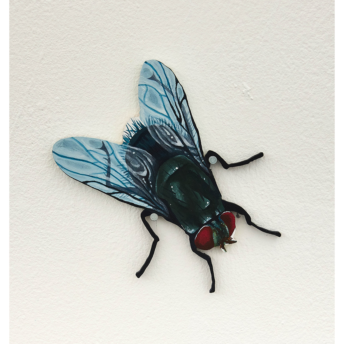Spoilt For Choice (Flies)