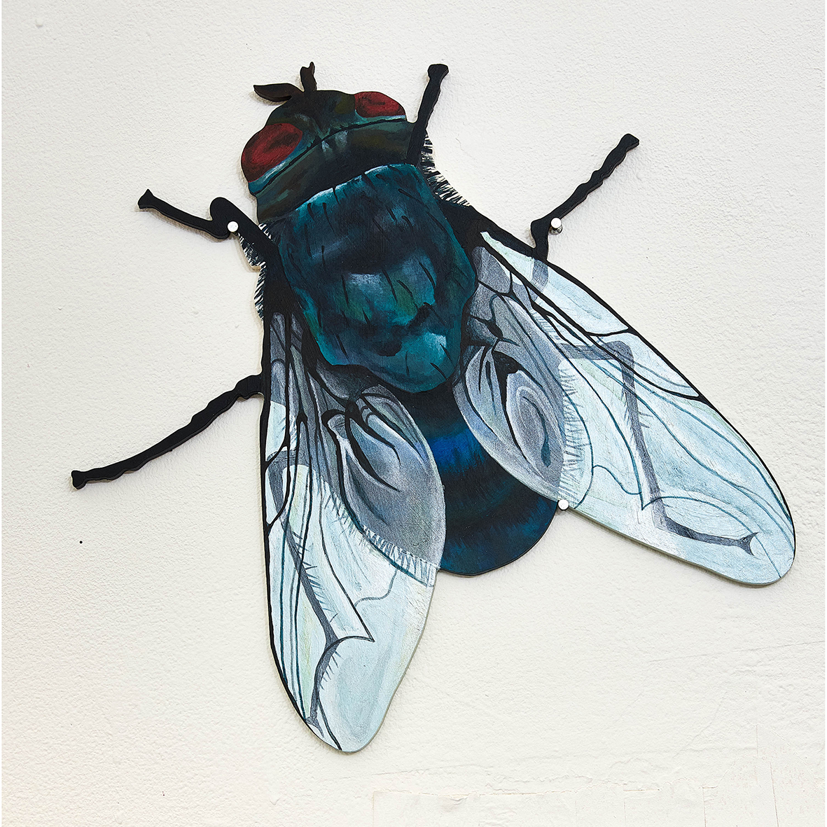 Spoilt For Choice (Flies)