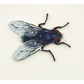 Spoilt For Choice (Flies)