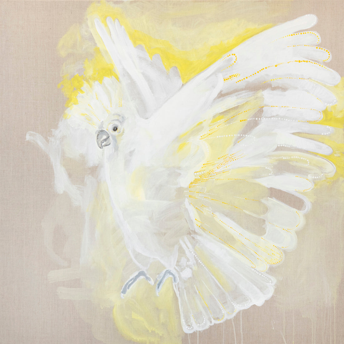 Murrany (White Cockatoo)