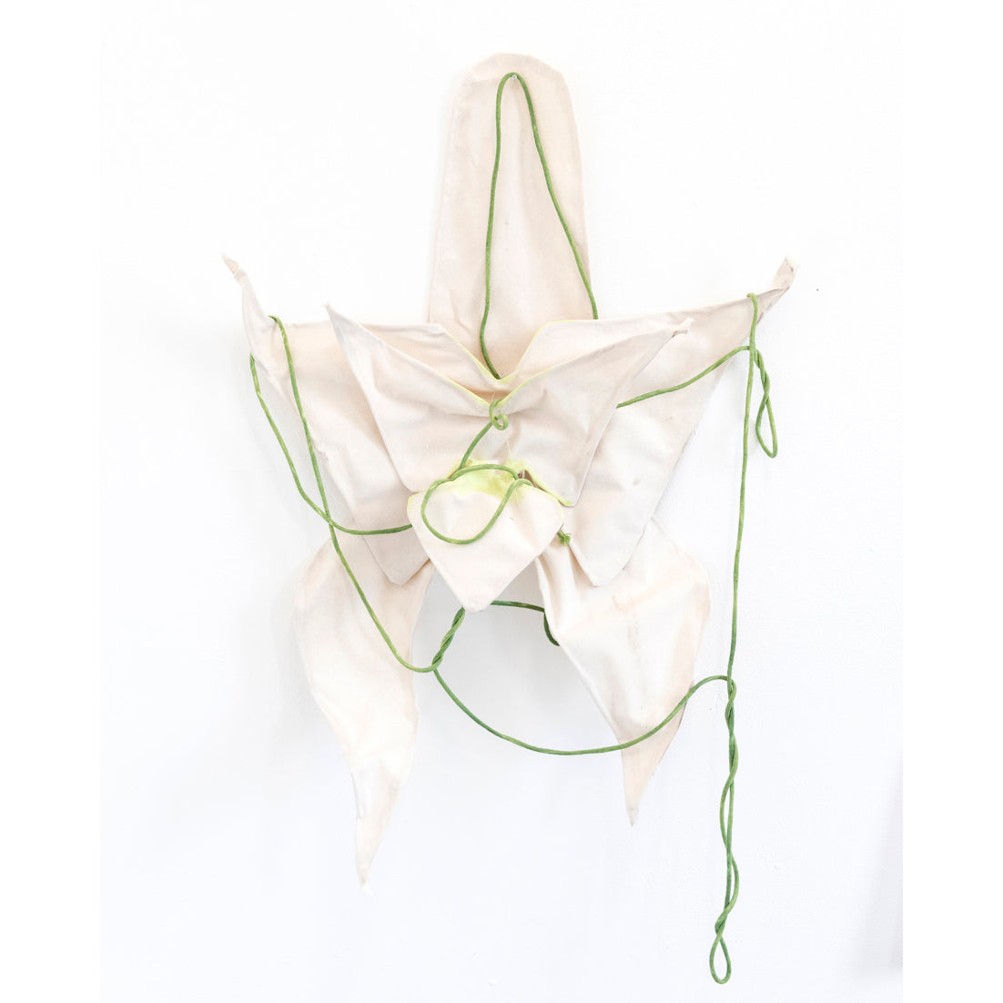Orchid #1
